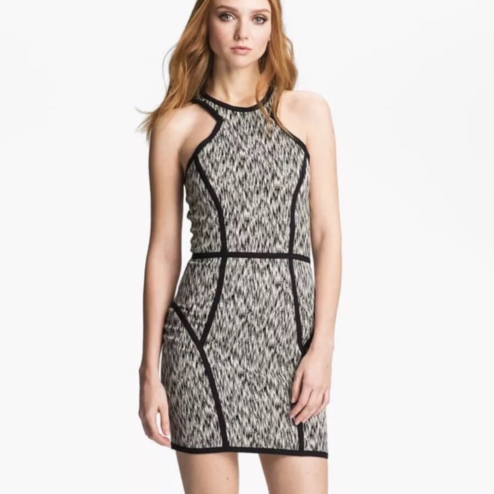 Parker Palms Stretch Sheath Dress Black And White Print size Large